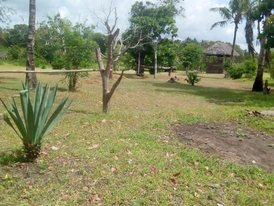 Mida Creek Nature Camp Watamu Exterior foto